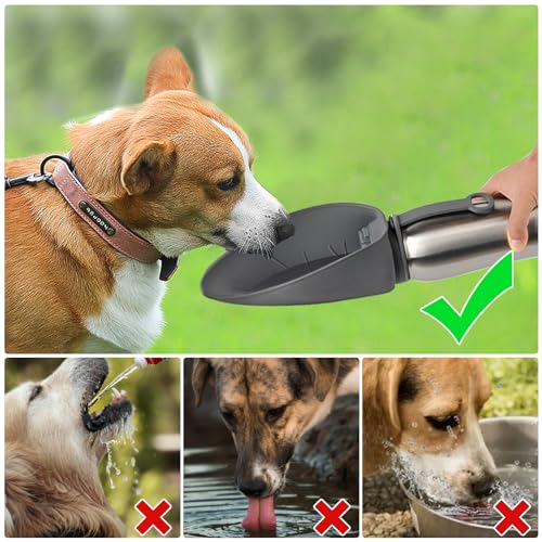 Insulated Dog Water Bottle (27 Fl Oz)