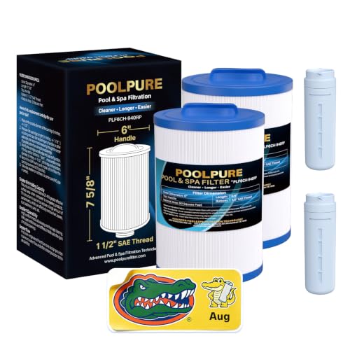 6CH 940RP Removable Handle Spa Filter