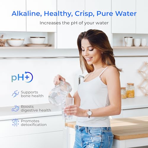 Alkaline Gravity Water Filter (2 Count)