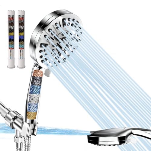 Filtered Shower Head with Handheld