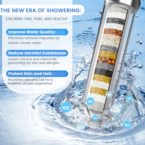 Filtered Shower Head with Handheld