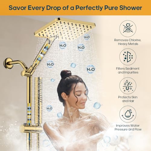 High Pressure Filtered Shower Head with Handheld Combo