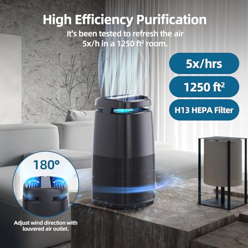 Air Purifiers for Home with Negative Ion and UV