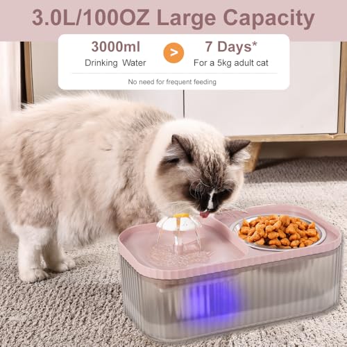 Cat Water Fountain and Stainless Steel Food Bowl (900 Gram)