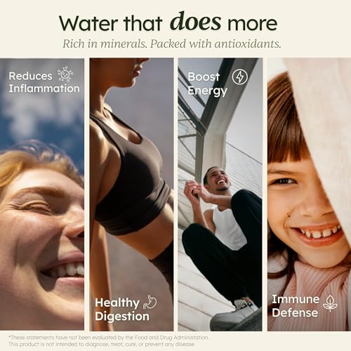 PL MAX Under Sink Water Ionizer