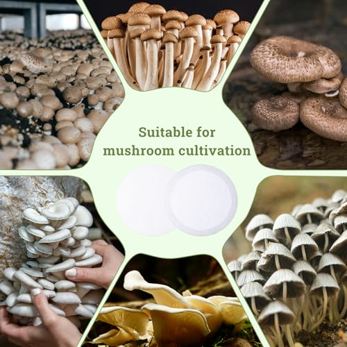 Monotub Adhesive Filter Disks