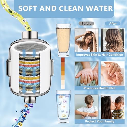 4 Pack 20 Stage Shower Head Filter (4 Count)