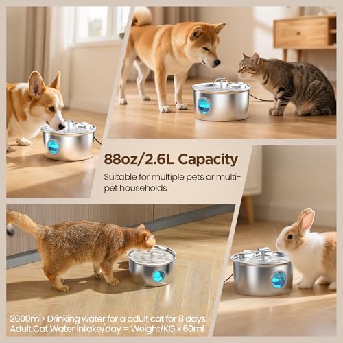 Cat Water Fountain Stainless Steel