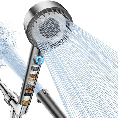 Filtered Shower Head with Handheld