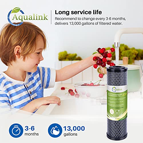 CTO10 1 Micron 2.5" x 10" Whole House Carbon Water Filter Cartridge Replacement for Countertop Water Filter System