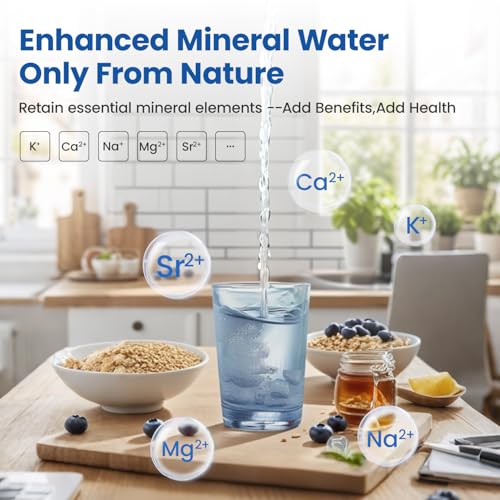 Under Sink Water Filter System