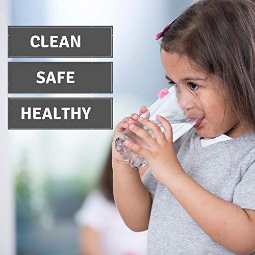 Water Filter Replacement for Brita® Pitchers & Dispensers (6 Count)