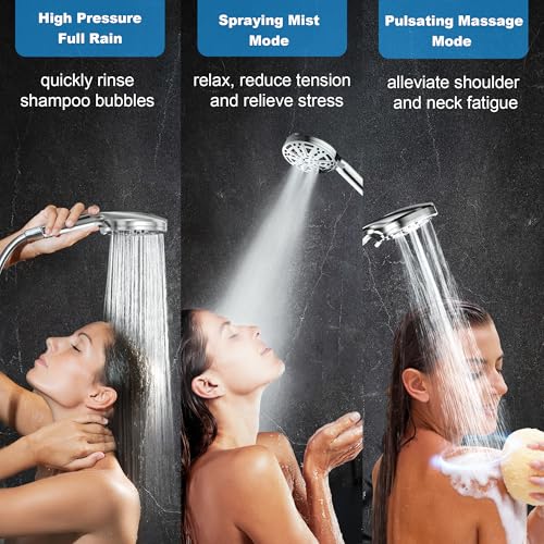 Filtered Shower Head with Handheld (3 Count)