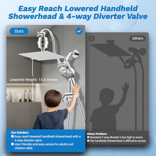 10" Dual Filtered 10" Rainfall Shower Head with Handheld 10
