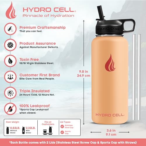 Stainless Steel Insulated Water Bottle with Straw