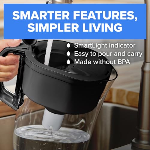 Large 10 Cup Water Filter Pitcher