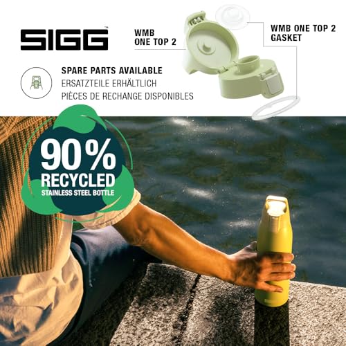 Insulated Water Bottle