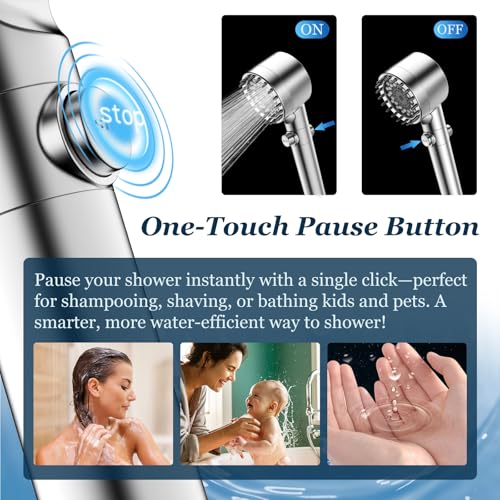 Filtered Shower Head with Handheld