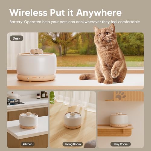 Wireless Cat Water Fountain