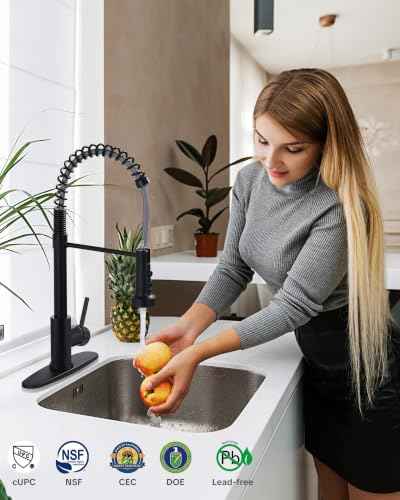 Kitchen Faucets with Pull Down Sprayer