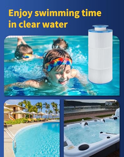 Pool Spa Filter Replaces Sundance Microclean Ultra Set 6541