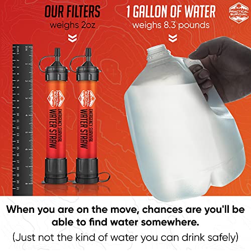2 High Capacity Emergency Water Straws (2 Count)