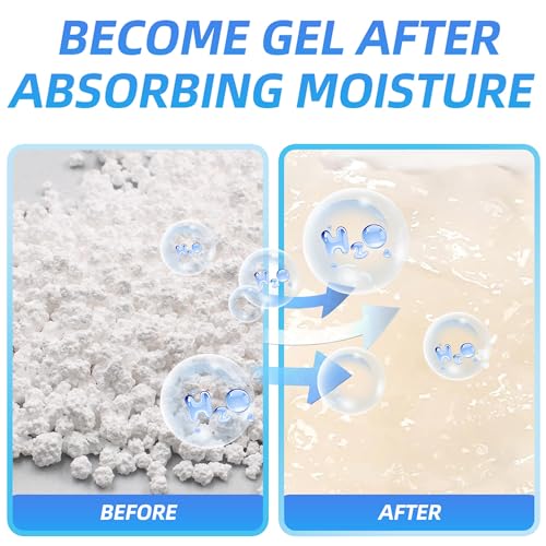 25 Gram 10 Packs Moisture Absorbers Packs (10 Count)