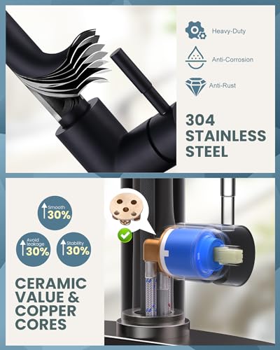 Black Kitchen Faucet with Sprayer