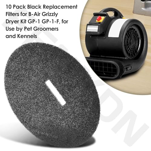 Replacement Filter for B