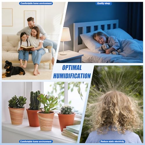 HWF62 Humidifier Filter A Compatible with Holmes Sunbeam