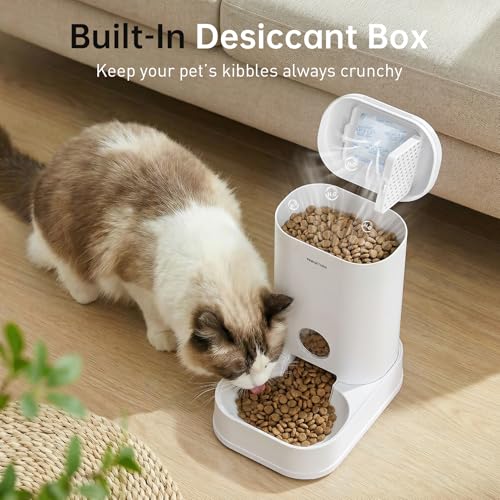 Gravity Cat Feeder