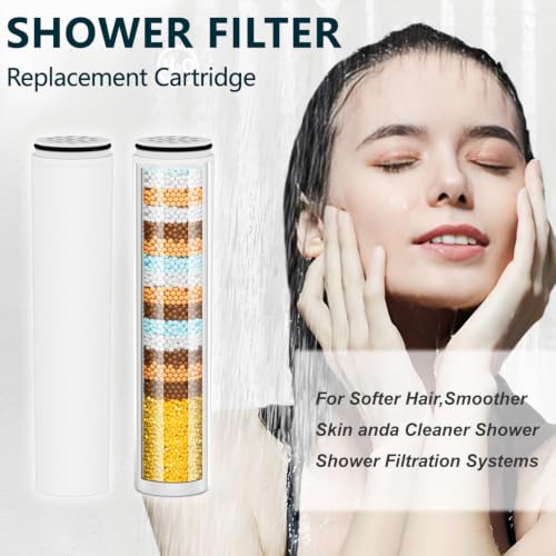 2 Pack Water Filter Compatible with Cobbe Handheld Shower Head. (2 Count)