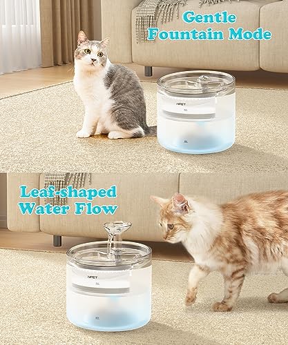 WF100 Cat Foutain