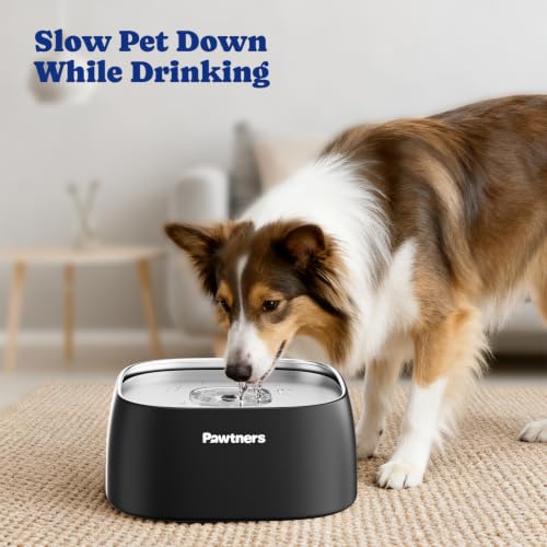 All Stainless Steel Dog Water Bowl No Spill