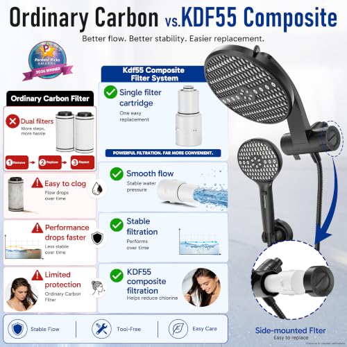 Filtered Shower Head with Handheld