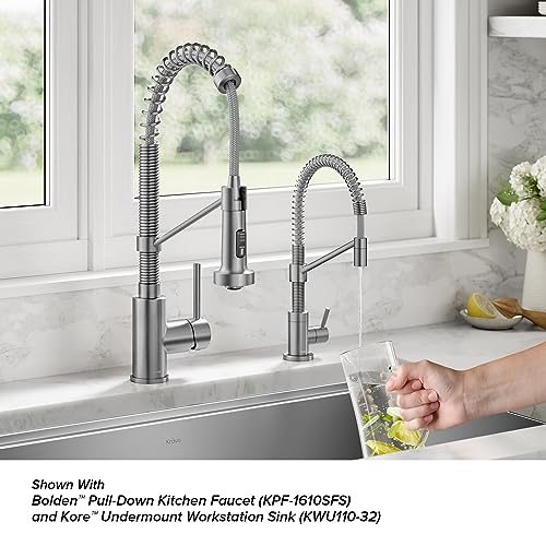 Bolden Single Handle Drinking Water Filter Faucet for Reverse Osmosis or Water Filtration System in Spot