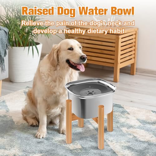 3L Elevated Dog Water Bowl