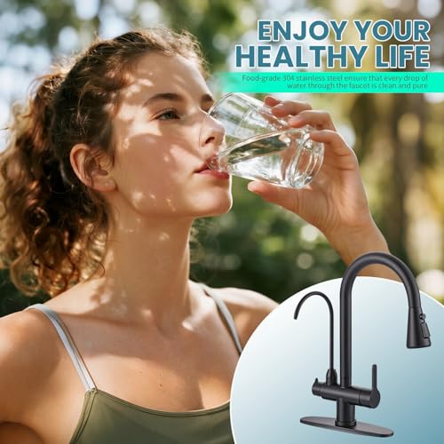 Kitchen Faucet with Water Filter Faucet