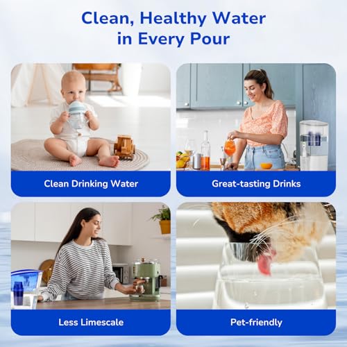 6 Pack PURWater Filter Replacement (6 Count)