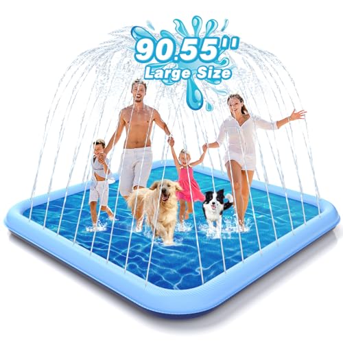Splash Pad for Dogs & Kids