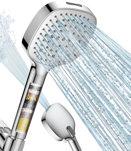 Filtered Shower Head with Handheld