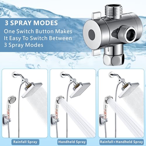 Filtered Shower Head with Handheld Combo
