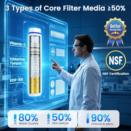 Filtered Shower Head with Handheld (3 Count)