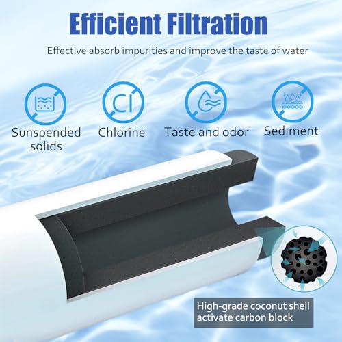 CTO1 Water Filter Replacement (2 Count)