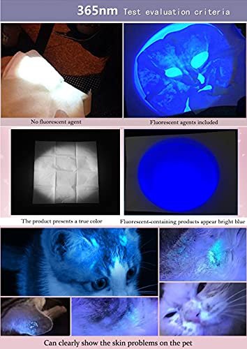 UV 365nm Light Wood's Lamp Blacklight Ultraviolet Flashlight Mini