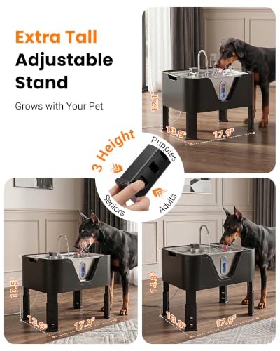 4.75Gal 18L Large Dog Water Fountain Elevated Dog Water Bowl & 3 Filters