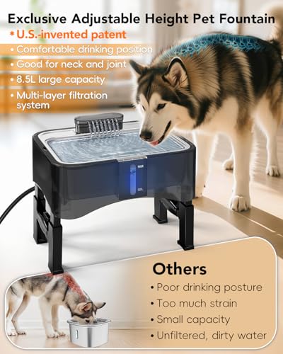 8.5L Elevated Dog Water Fountain with 4 Heights Adjustable