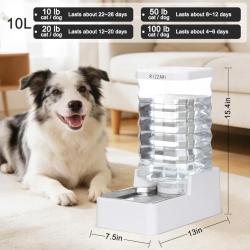 10L Filtered Dog Water Dispenser