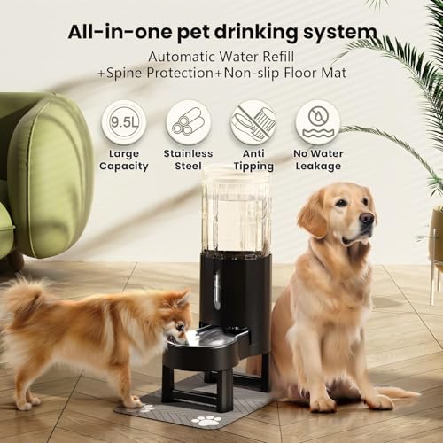 Elevated Dog Water Bowl Dispenser with Mat