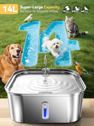 Large Dog Water Fountain 14L
